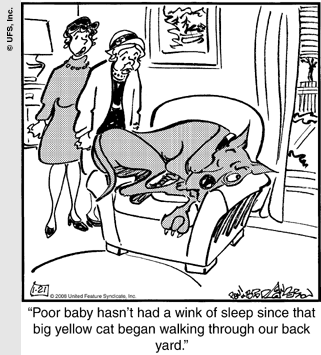 marmaduke